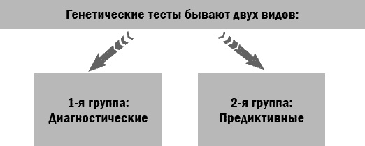 Здоровье без возраста: управляй и молодей