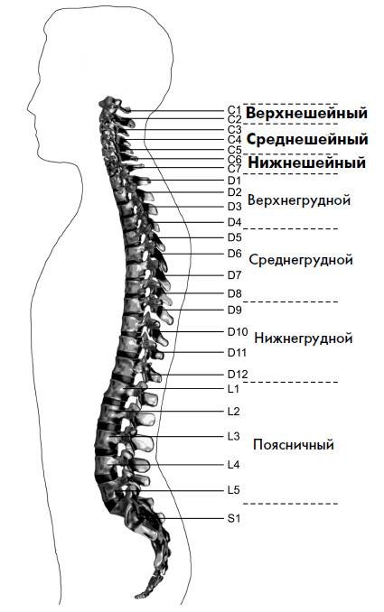 Ария для спины. Авторская программа, чтобы никогда не болели суставы