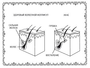 Аюрведа. Пособие по женскому здоровью