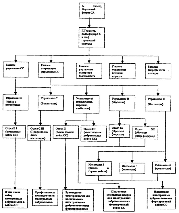 Коричневые тени в Полесье. Белоруссия 1941-1945