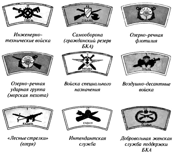 Коричневые тени в Полесье. Белоруссия 1941-1945