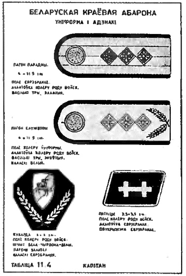 Коричневые тени в Полесье. Белоруссия 1941-1945