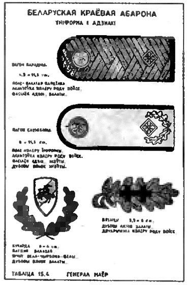 Коричневые тени в Полесье. Белоруссия 1941-1945