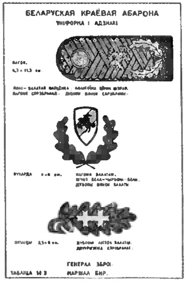 Коричневые тени в Полесье. Белоруссия 1941-1945