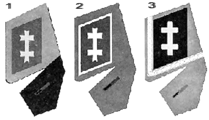 Коричневые тени в Полесье. Белоруссия 1941-1945