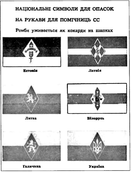 Коричневые тени в Полесье. Белоруссия 1941-1945