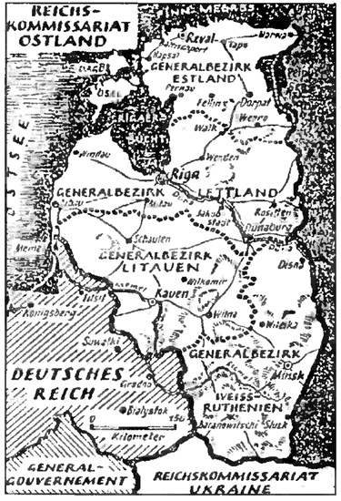 Коричневые тени в Полесье. Белоруссия 1941-1945