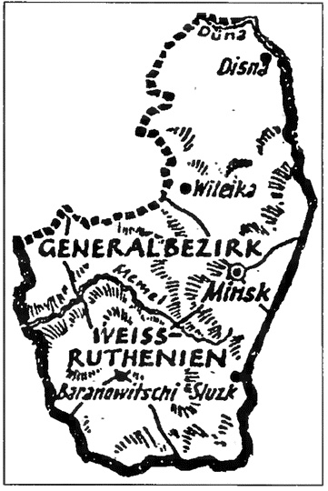 Коричневые тени в Полесье. Белоруссия 1941-1945