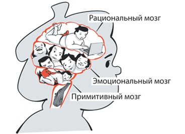 SUMO. Заткнись и делай