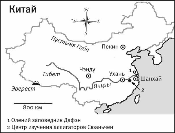 Песни драконов. Любовь и приключения в мире крокодилов и прочих динозавровых родственников