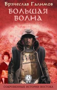 Книга Большая волна