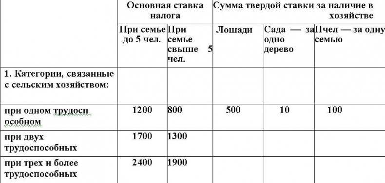 Русское государство в немецком тылу. История Локотского самоуправления. 1941-1943