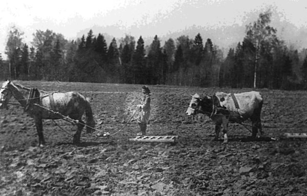 Октябрьский детектив. К 100-летию революции