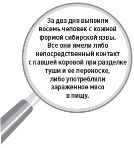 Убийство под микроскопом: записки судмедэксперта