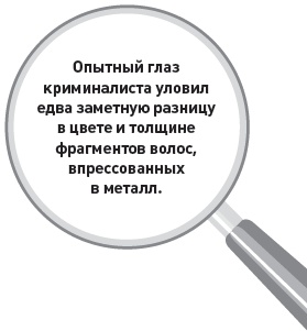 Убийство под микроскопом: записки судмедэксперта