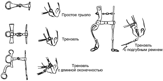 Рыцарь и его замок. Средневековые крепости и осадные сооружения