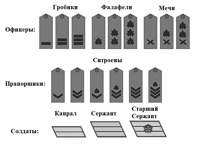 Слезы радости. «Как я разлагал израильскую армию»