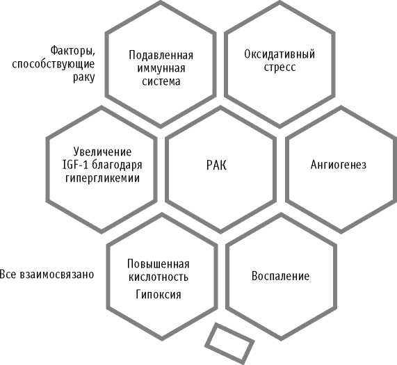 Мои рецепты от рака. Опыт врача, победившего онкологию