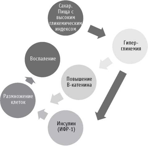 Мои рецепты от рака. Опыт врача, победившего онкологию