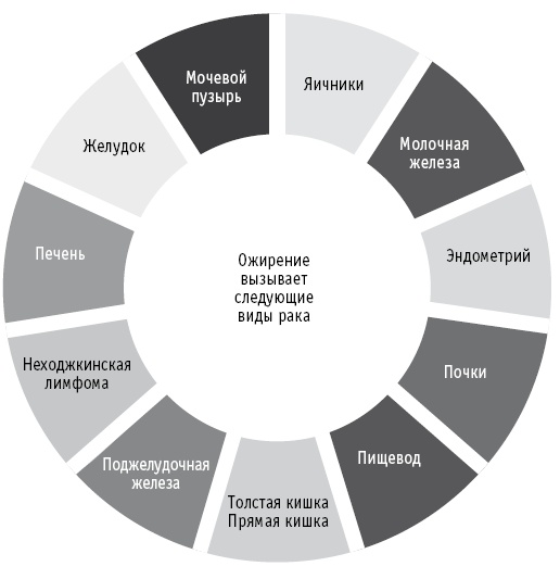 Мои рецепты от рака. Опыт врача, победившего онкологию