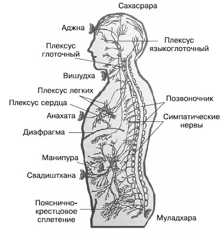 Бросай курить! САМОкодирование по системе СОС