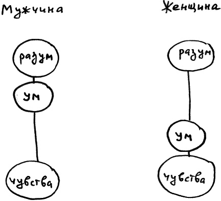 Законы судьбы, или Три шага к успеху и счастью