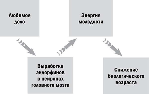 Управляй возрастом. Живи дольше, зарабатывай больше