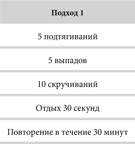 Зона тренировок. Стань сильнее, быстрее и умнее