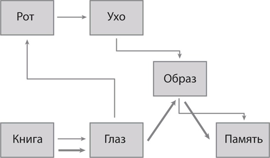 Скорочтение на практике. Как читать быстро и хорошо запоминать прочитанное