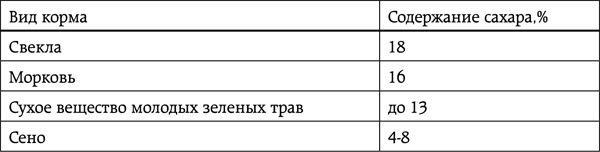 Энциклопедия умного сыроедения. Здоровое питание XXI века