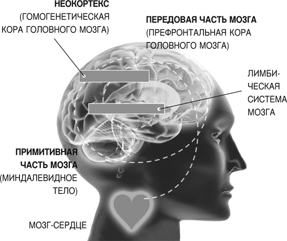 Идеальные переговоры