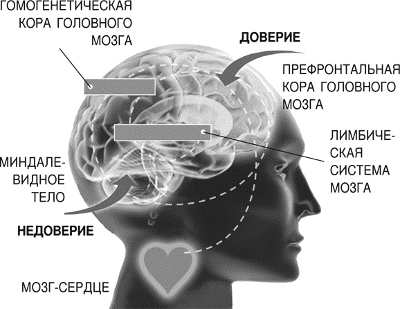 Идеальные переговоры