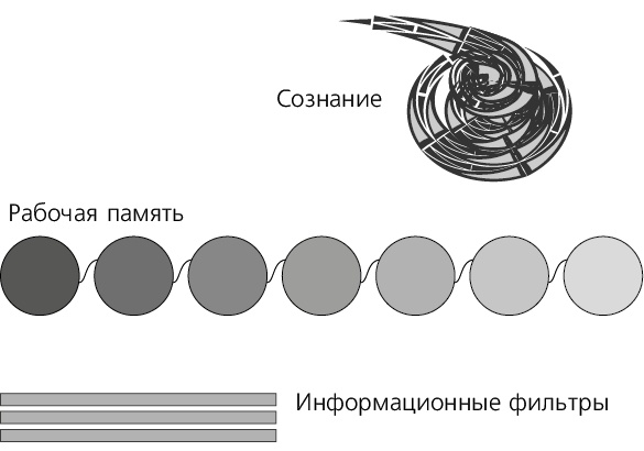 Помнить все. Практическое руководство по развитию памяти