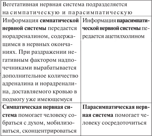 Лууле Виилма. Исцеление Светом Любви и Прощения. Большая книга избавления от болезней