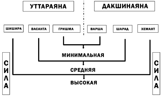 Аюрведа. Жить вкусно и не болеть