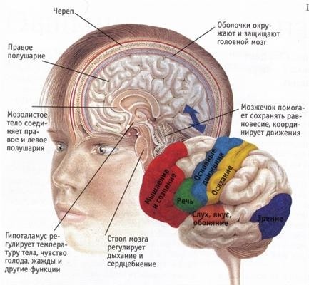 Как построить дом здоровья, счастья и богатства. Универсальная методика «ВЕСТА»