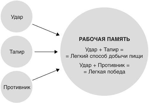 Включите свою рабочую память на полную мощь