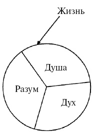 Большая книга о новой жизни, которую никогда не поздно начать