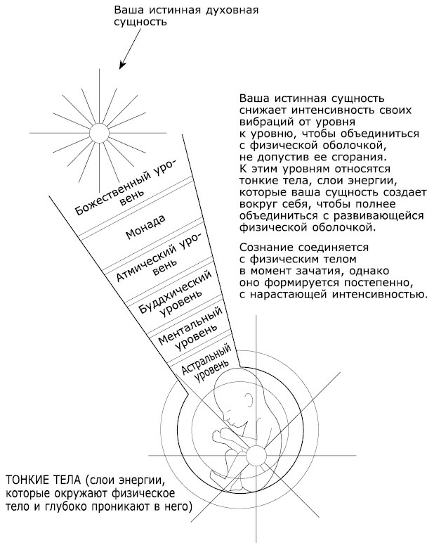 Как видеть и читать ауру