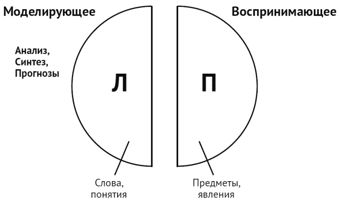 За что мне такому хорошему такая хреновая жизнь? Креативный антивирус для мозга