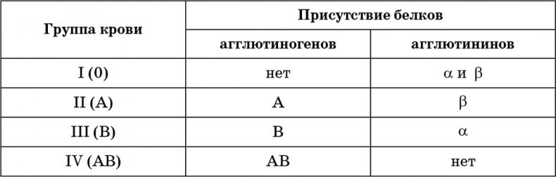 Возрастная анатомия и физиология. Основы профилактики и коррекции нарушений в развитии детей