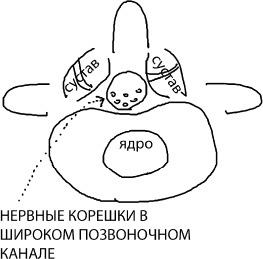 Большая книга упражнений для спины. Комплекс "Умный позвоночник"