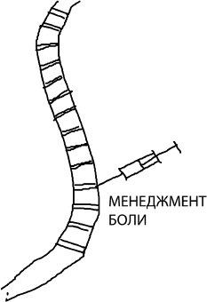 Большая книга упражнений для спины. Комплекс "Умный позвоночник"