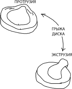 Большая книга упражнений для спины. Комплекс "Умный позвоночник"