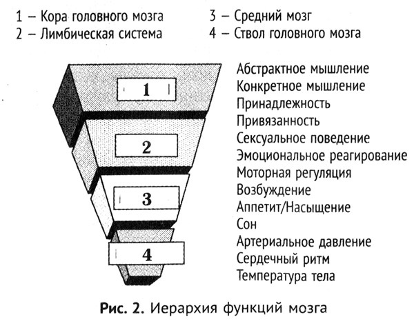 Мальчик, которого растили, как собаку. И другие истории из блокнота детского психиатра