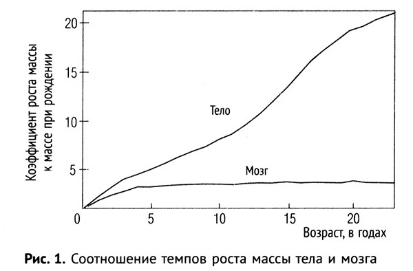 Мальчик, которого растили, как собаку. И другие истории из блокнота детского психиатра