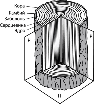 Учебник по выживанию в экстремальных ситуациях