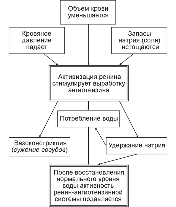 Вода для здоровья