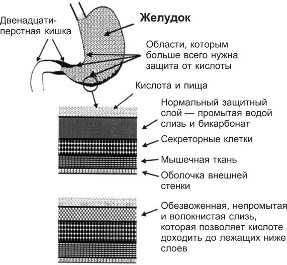 Вода для здоровья