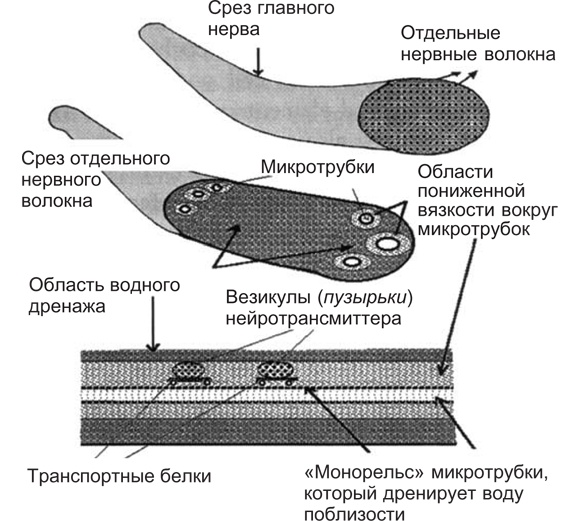 Вода для здоровья